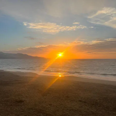 Cary's * Las Palmas de Gran Canárias